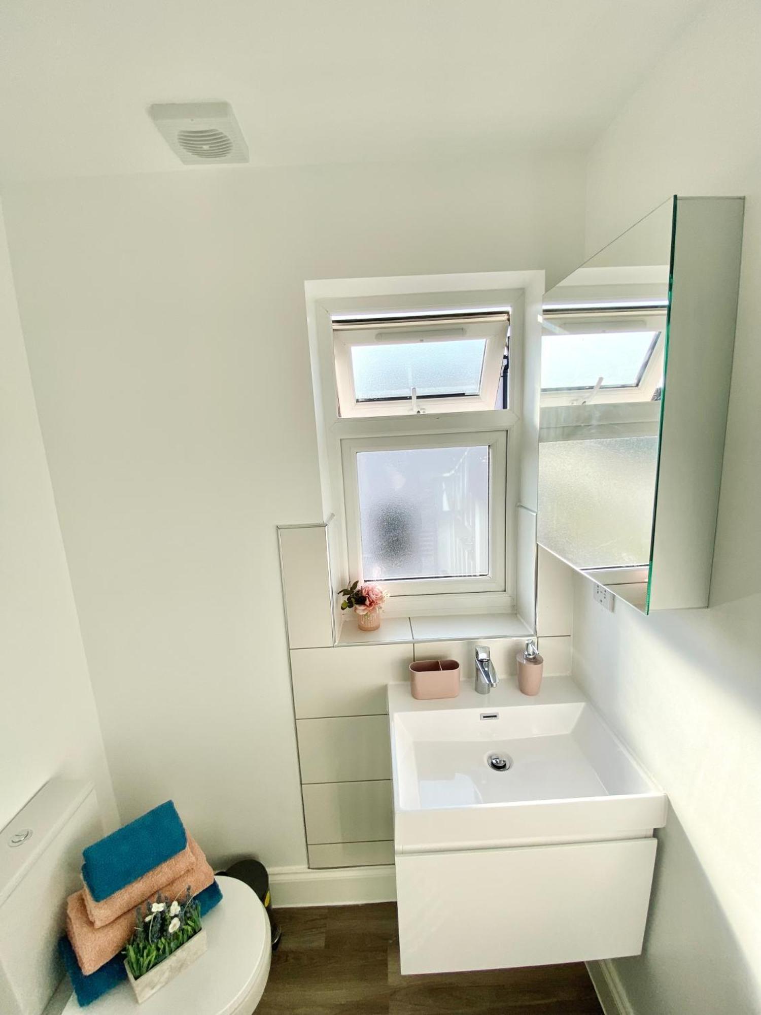 Bright Loft 30min To Apartment London